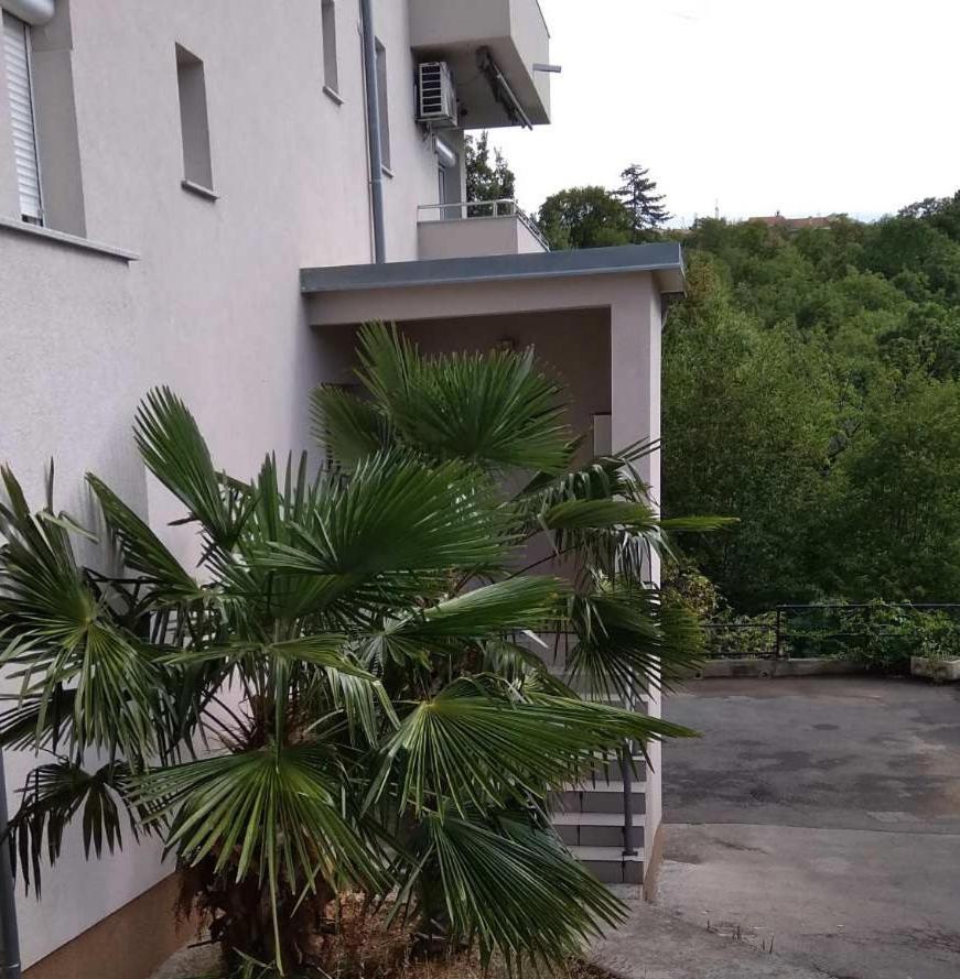 Apartman 4 Rijeka Buitenkant foto